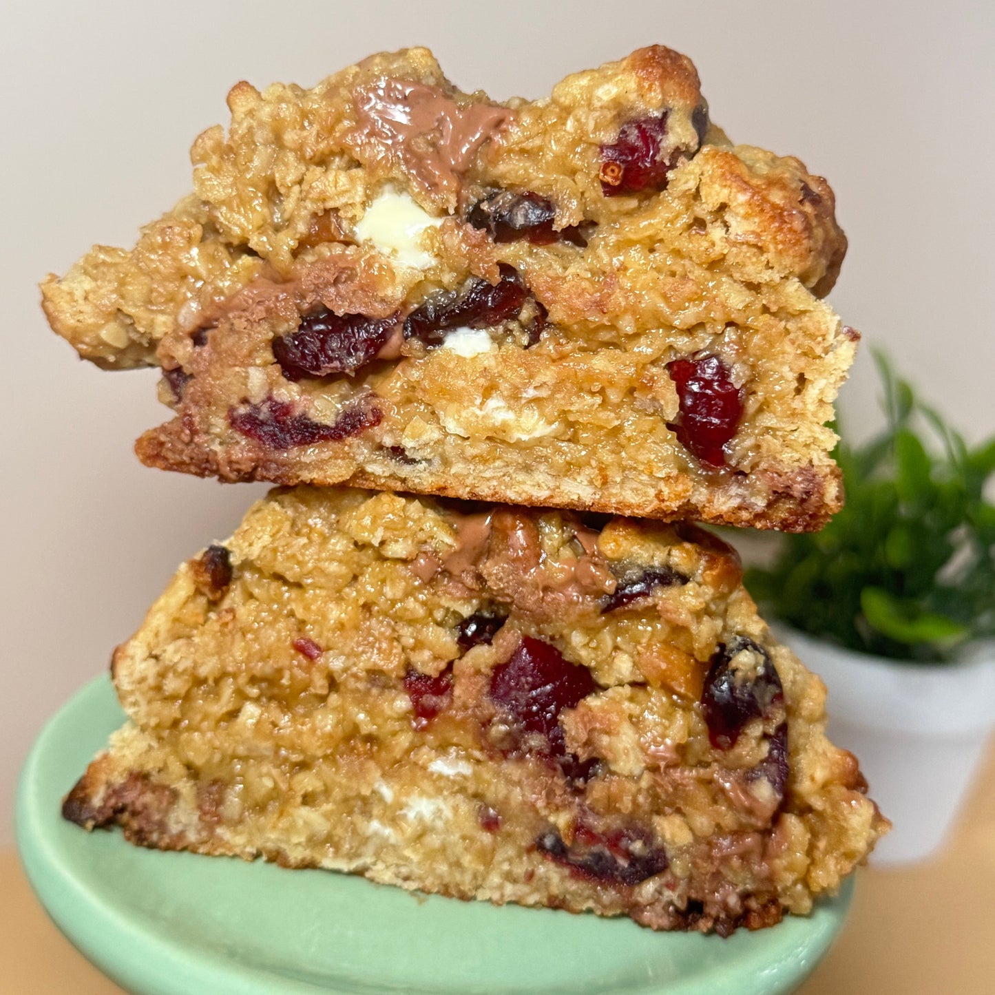Oats and Crandberry